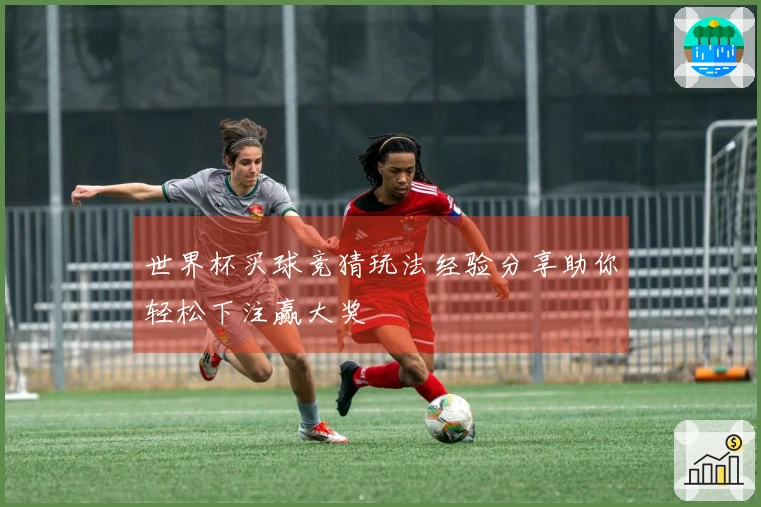 世界杯买球竞猜玩法经验分享助你轻松下注赢大奖