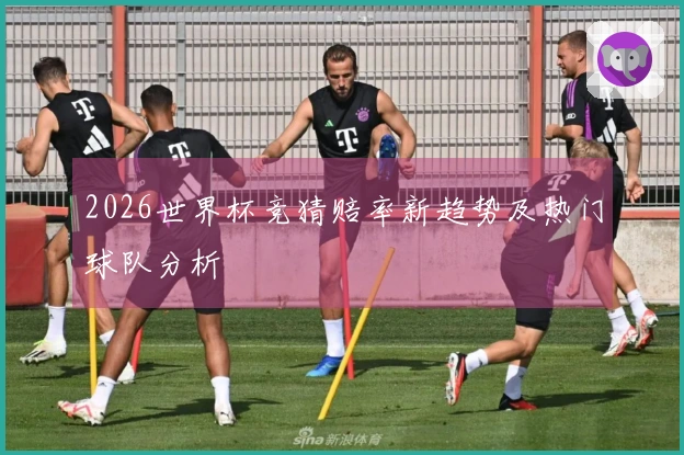 2026世界杯竞猜赔率新趋势及热门球队分析
