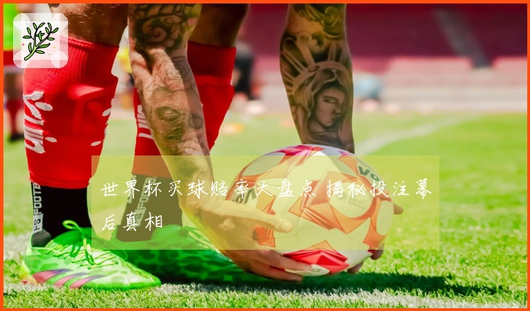 世界杯买球赔率大盘点 揭秘投注幕后真相