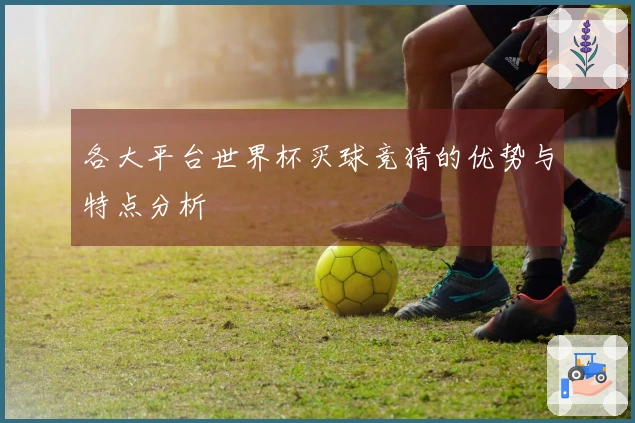 各大平台世界杯买球竞猜的优势与特点分析