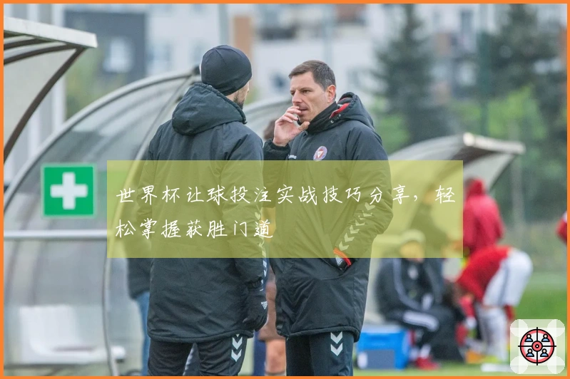 世界杯让球投注实战技巧分享，轻松掌握获胜门道